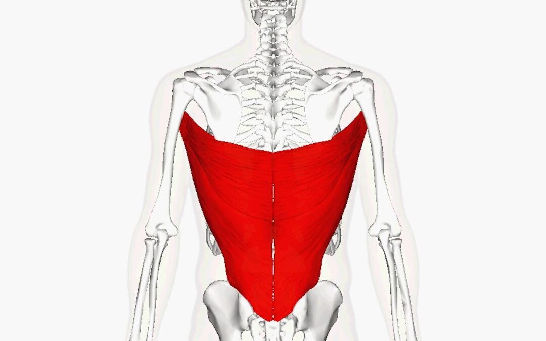 Trigger point pain from Latissimus Dorsi and how to find relief