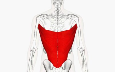 Trigger point pain from Latissimus Dorsi and how to find relief