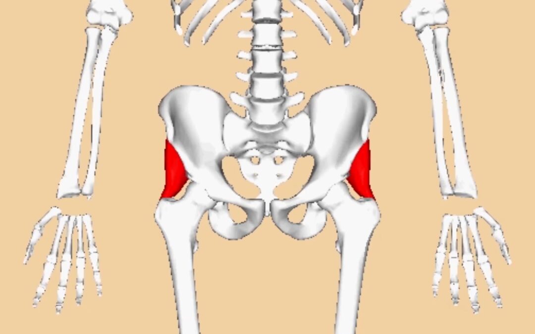 Trigger point pain from Gluteus Minimus Trigger Point #Two and how to find relief