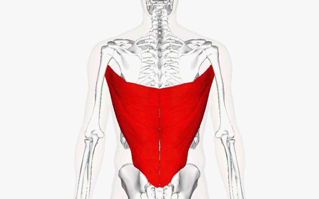 Trigger point pain from Latissimus Dorsi Trigger Point #Two and how to find relief